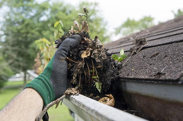 regular gutter cleaning is recommended at least twice a year to prevent debris buildup and potential damage